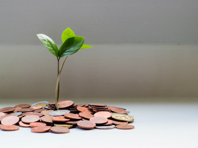 Small investment growth